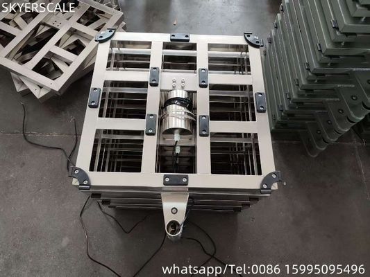 качество  304 Stainless Steel Bench Scale 600 * 800 Mm 300kg Weighing Waterproof Platform Scale Фабрика