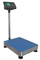 600x700mm Platform Bench Weight Scale Powder Coated With LED