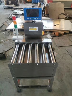 Checkweigher статического ролика высокой точности опционный масштабирует для еды/рекламы