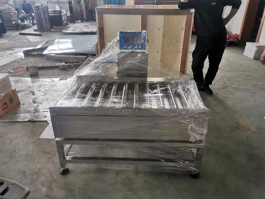 Checkweigher статического ролика высокой точности опционный масштабирует для еды/рекламы