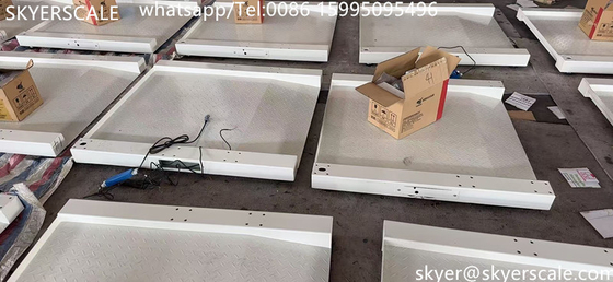 Медицинская больница посвящена 800x800мм 250кг шкалы инвалидной коляски