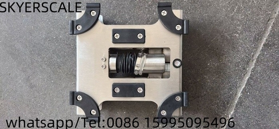 304 Нержавеющая сталь Весы малых промышленных весов OEM/ODM/OBM Поддерживается