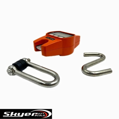 Цифровые крановые весы 300 кг с LED LCD дисплеем