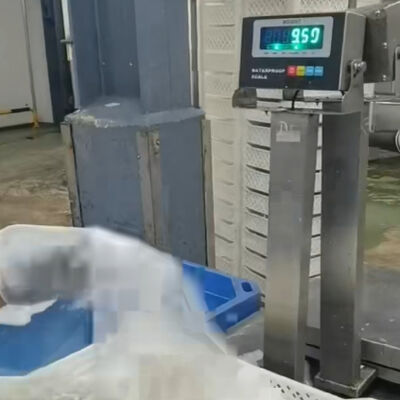 Весы для скамейки из нержавеющей стали 30x40 см 304, водонепроницаемые, 100 кг